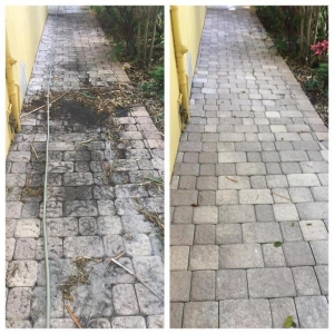 Photo of Proclean Solutions