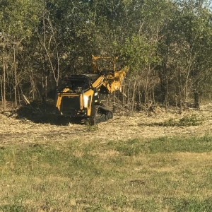 Photo of Lindberg Land Clearing