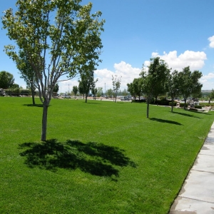 Photo of SLEDGE Landscaping