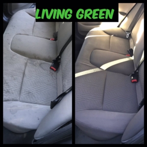 Photo of Living Green Carpet & Upholstery Cleaning