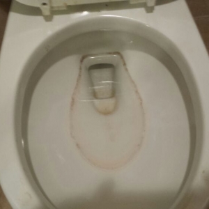 Photo of Carla's One Woman Services