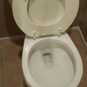 Photo of Carla's One Woman Services
