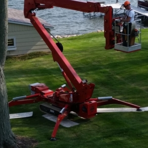 Photo of A Cut Above Tree Service and Landscaping