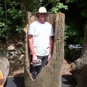 Photo of A Cut Above Tree Service and Landscaping