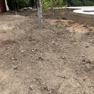Photo of Antonio Alcaraz Gardening and Landscaping Services