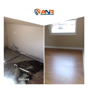Photo of ANR Restoration