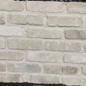 Photo of Bricks Incorporated