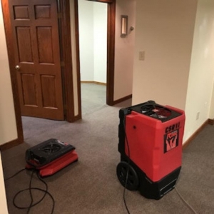Photo of All Seasons Carpet Cleaning & Property Maintenance