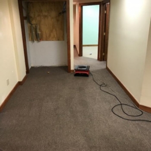 Photo of All Seasons Carpet Cleaning & Property Maintenance