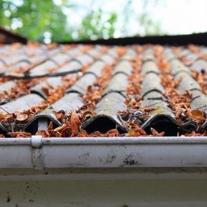 Photo of Kintana Seamless Gutter Home Improvement