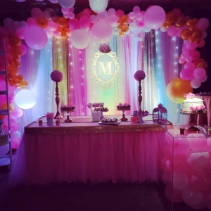 Photo of Party Kingdom Inc