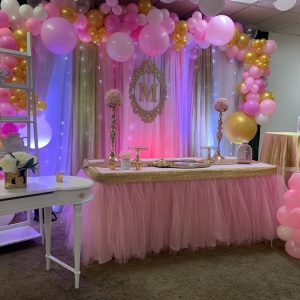 Photo of Party Kingdom Inc