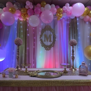 Photo of Party Kingdom Inc