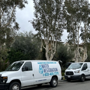 Photo of AAA Water Restoration Inc