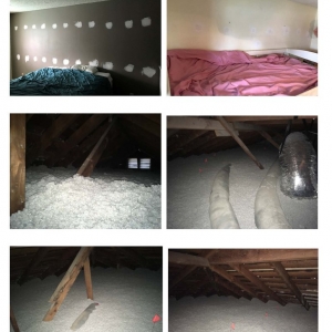 Photo of Everguard Home Insulation