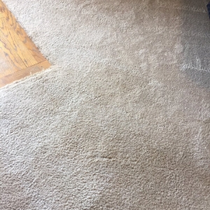 Photo of North County Carpet Cleaning