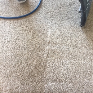 Photo of North County Carpet Cleaning