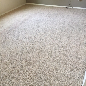 Photo of North County Carpet Cleaning