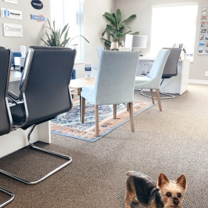 Photo of Majdas Touch Insurance