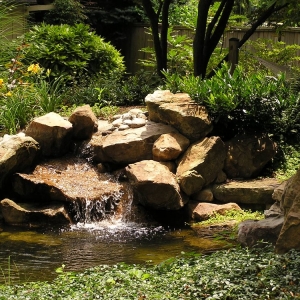 Photo of Urban Gardens