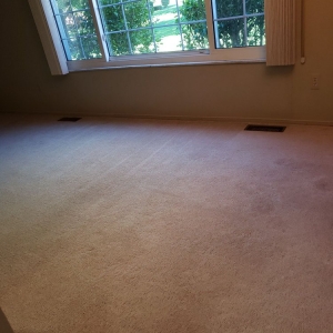 Photo of Professional Rug Cleaners