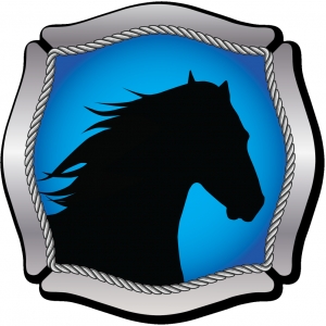 Photo of Stallion Fire & Security