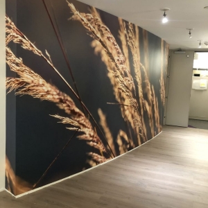 Photo of J & L Wall Covering