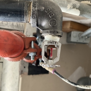 Photo of Firemex Solutions