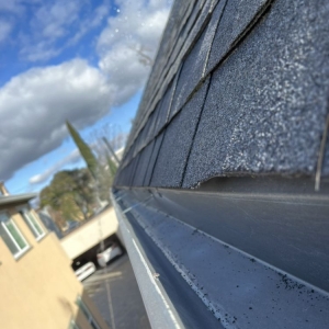 Photo of Supreme Power Wash