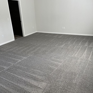 Photo of True Clean Carpet & Tile Care