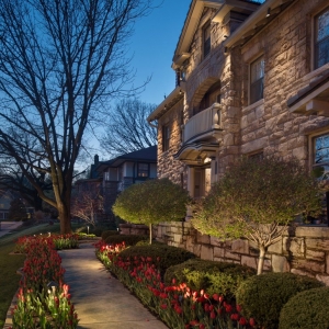 Photo of NiteLites - Kansas City