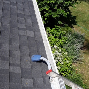 Photo of Best Price Gutter Clean