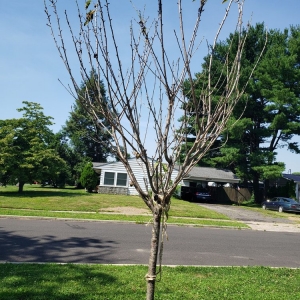 Photo of Gasper Home & Garden Showplace