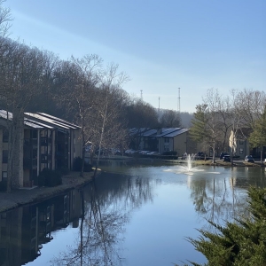 Photo of The Lakes Bellevue