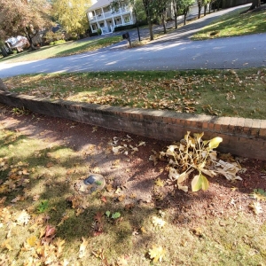 Photo of Dirty Bird Lawn Care