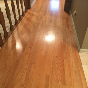Photo of Kip's Hardwood Flooring