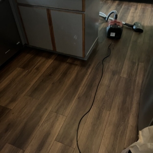 Photo of All Dry And Tidy