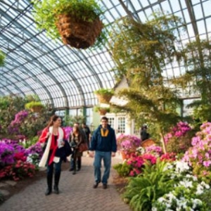 Photo of South Side Roots