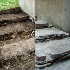Photo of South Side Roots