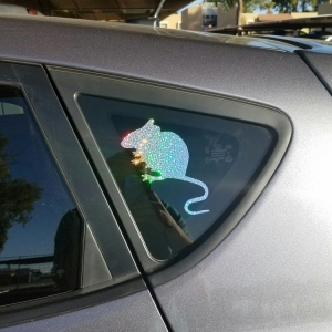 Photo of Vector Vinyl Works