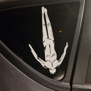 Photo of Vector Vinyl Works