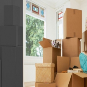 Photo of Academy Movers