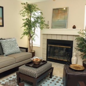 Photo of Chestnut Ridge Apartment Homes