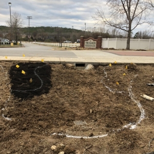 Photo of Lawn Solutions of Little Rock