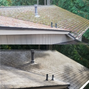 Photo of The Goat Exteriors