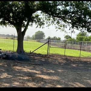Photo of JS Fencing
