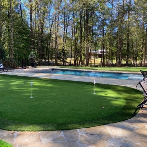 Photo of Southwest Greens of Atlanta