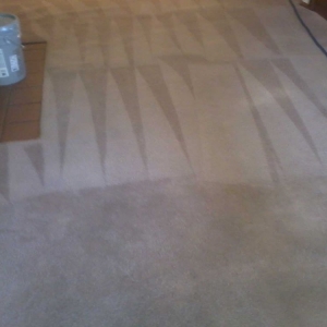 Denver Quality Carpet & Upholstery Cleaners