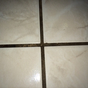 Photo of Pure Steam Cleaning