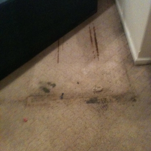 Photo of Real Clean Carpets & More
